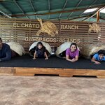 Photo taken by Narasimhachar P