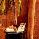 Photo taken by Bianca C