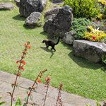 Photo taken by Linda P