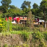 Photo taken by Susan H