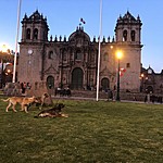 Photo taken by Brenna M