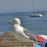 Photo taken by Doug P