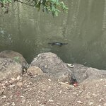 Photo taken by Susan C