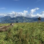 Photo taken by Shawn S