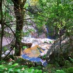 Photo taken by Mike T