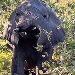 Photo taken by rhonda c