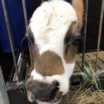 Photo taken by Jon A