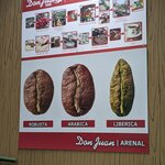 Photo taken by Traci V