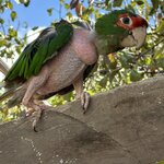 Photo taken by Lori S