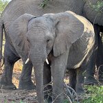 Photo taken by Sandro P