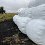 Photo taken by Nan K