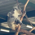 Photo taken by jean G