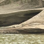 Photo taken by Shanthi V