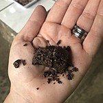 Photo taken by Michelle D