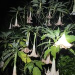 Photo taken by Robin W