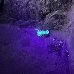 Photo taken by Brian L