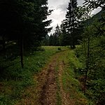 Photo taken by Kim R