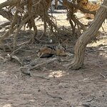 Photo taken by Nigel R