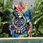 Photo taken by Tracie D