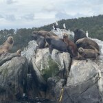 Photo taken by Donna R