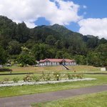 The Domain, Te Aroha | Photo taken by Clare F