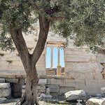 Photo taken by Sakura I