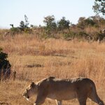 Photo taken by Ingenie D