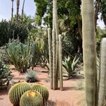 Photo taken by Louis U