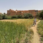 Photo taken by Tom B