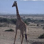 Photo taken by Gabrielle A