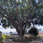 Photo taken by Martin S