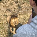 Photo taken by Joanne B