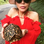 Honie saves the tortoise! | Photo taken by Andrew H