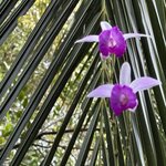 Photo taken by James B