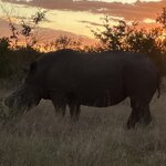 Photo taken by rhonda c