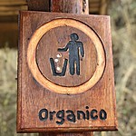 Photo taken by Brenna M