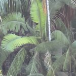 Photo taken by Breann B