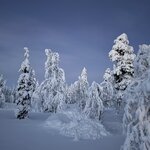 Photo taken by Ellyn V