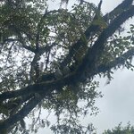 Photo taken by Jessica S