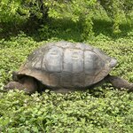 Photo taken by Thomas R