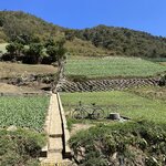 Photo taken by Solomon F