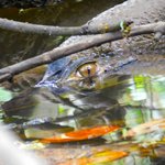 Photo taken by Steven M