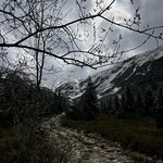 Photo taken by Sylvia S