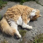 Photo taken by Tiffany S