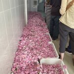 Photo taken by Evelyn K