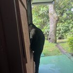 Photo taken by Barb S