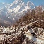 Photo taken by Willow K