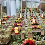 Photo taken by Kimberly M