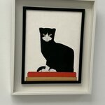 Photo taken by Jennifer D