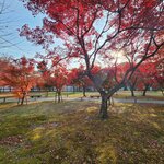 Photo taken by Zulhelmi R